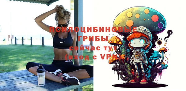 крисы Балахна