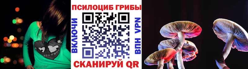 Галлюциногенные грибы Magic Shrooms  mega вход  Первомайск 